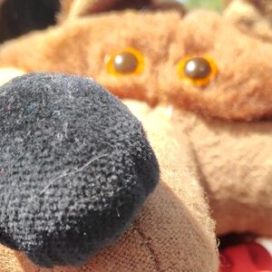 Meet your Posher, suzi